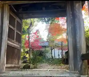 大宮八幡宮の山門・神門(2022年11月23日(水) 17時36分02秒投稿)