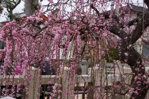 綱敷天満宮の自然
