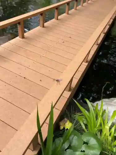 愛宕神社の動物