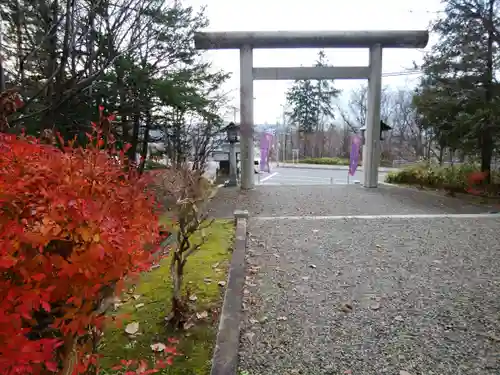 上川神社の鳥居