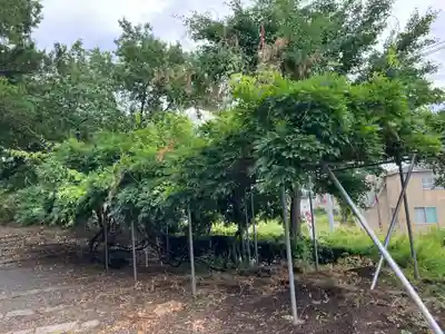 高野山真言宗 福王寺(北海道)