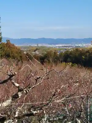 正法寺(京都府)