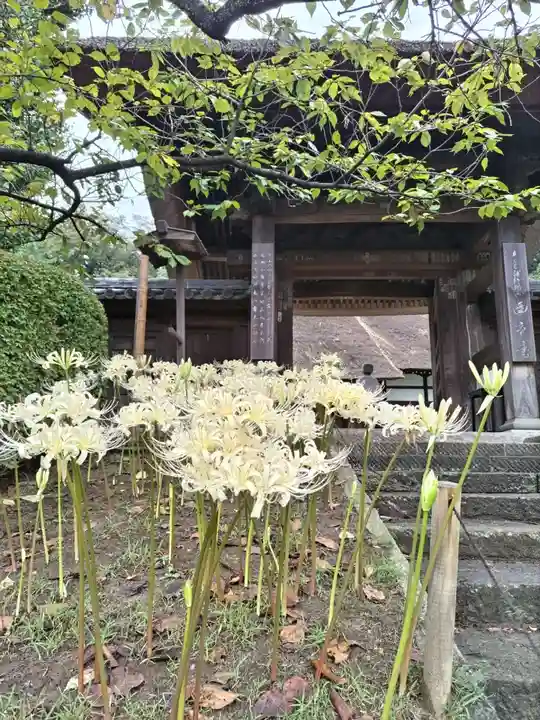 横浜 西方寺(神奈川県)