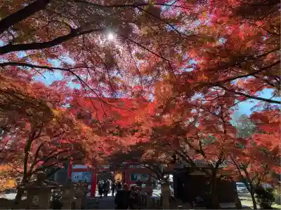 高山寺(兵庫県)