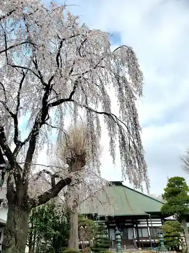 長松院(福島県)