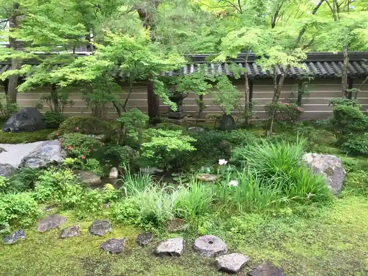 禅林寺(永観堂)の庭園