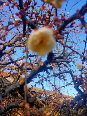 結城神社(三重県)