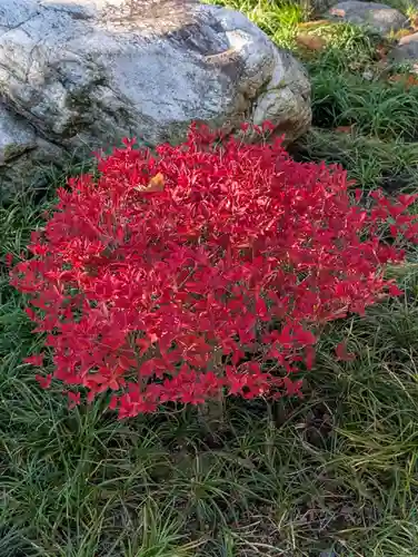 寳幢院(東京都)