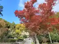 総見寺の周辺