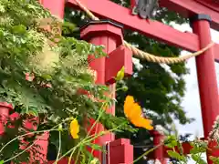 宇賀神社の鳥居