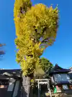 六月八幡神社の自然