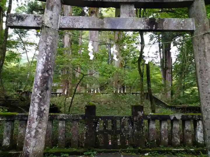 瀧尾神社(日光二荒山神社別宮)の鳥居