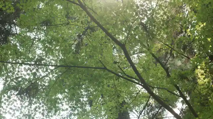 岡寺(龍蓋寺)(奈良県)