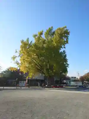 時宗総本山 遊行寺（正式：清浄光寺）(神奈川県)
