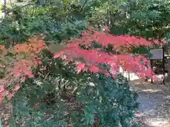 新田神社(東京都)