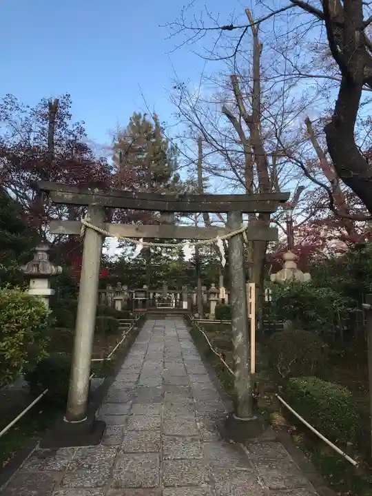 松陰神社の鳥居