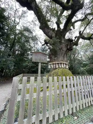 熱田神宮(愛知県)