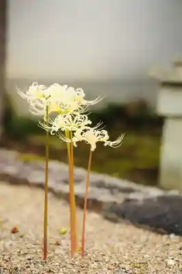 浄土寺(兵庫県)