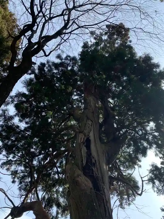 川辺八幡神社(福島県)