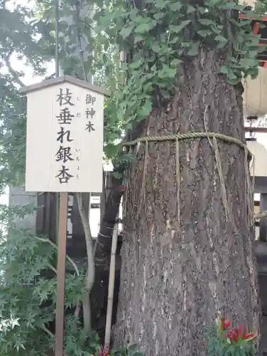 波除神社（波除稲荷神社）(東京都)