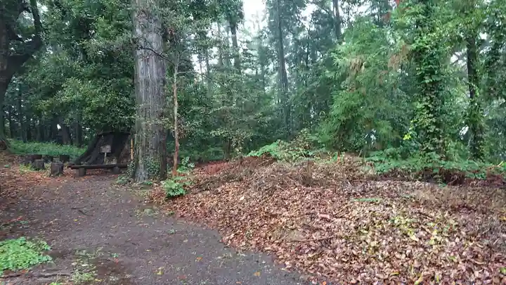 川尻八幡宮の自然