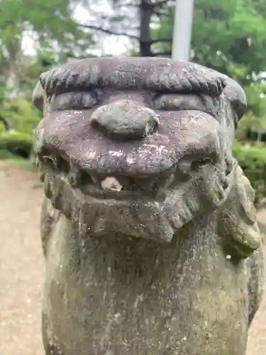 山神社の狛犬