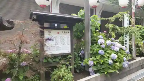 小動神社(神奈川県)