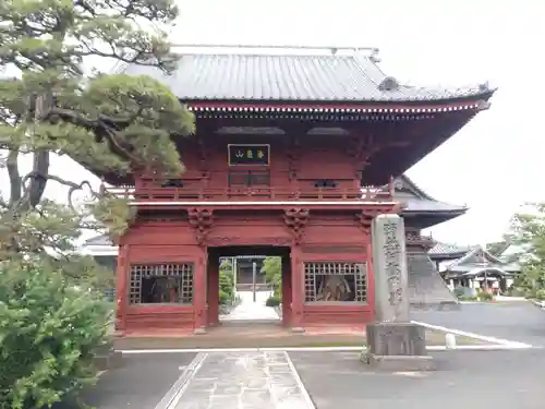 徳願寺の山門