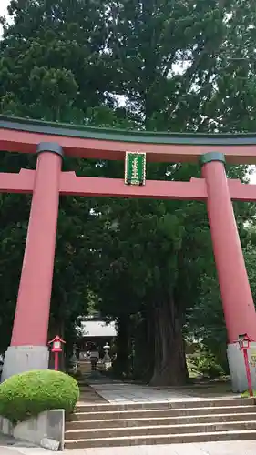 河口浅間神社の鳥居