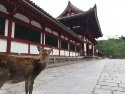 東大寺のその他建物