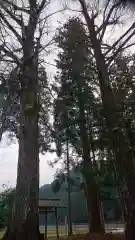 須波神社の自然