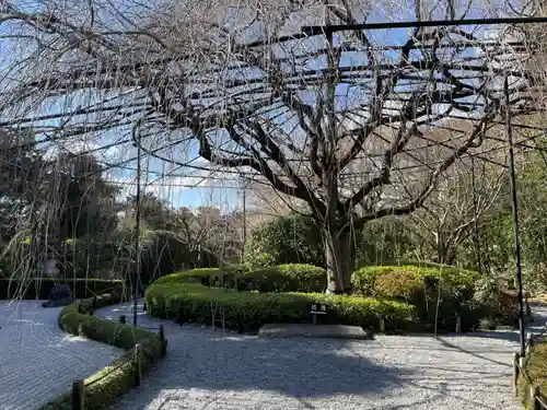 退蔵院(京都府)