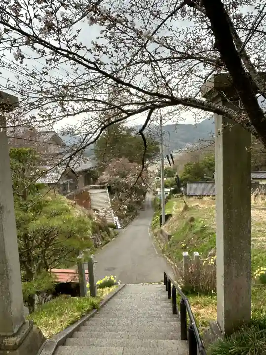 国宝 大法寺の{uncategorized: "未分類", other: "その他", undefined: "問題あり", building: "その他建物", grave: "お墓", sacred_gate: "鳥居", guardian: "狛犬", statue: "像", buddha: "仏像", history: "歴史", nature: "自然", garden: "庭園", animal: "動物", pagoda: "塔", temizu: "手水舎", mountain_gate: "山門・神門", sanctuary: "本殿・本堂", subordinate: "末社・摂社", art: "芸術", scenery: "景色", jizo: "地蔵", ema: "絵馬", goshuin: "御朱印", omikuji: "おみくじ", items: "授与品その他", amulet: "お守り", goshuincho: "御朱印帳", eats: "食事", festival: "お祭り", votive_dance: "神楽", shichigosan: "七五三参", wedding: "結婚式", experience: "体験その他", initially: "初詣", around: "周辺", anti_infection: "感染症対策"}