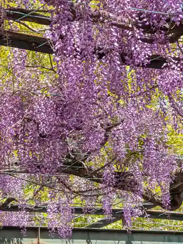 國領神社(東京都)