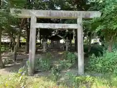 椿一宮神社の鳥居