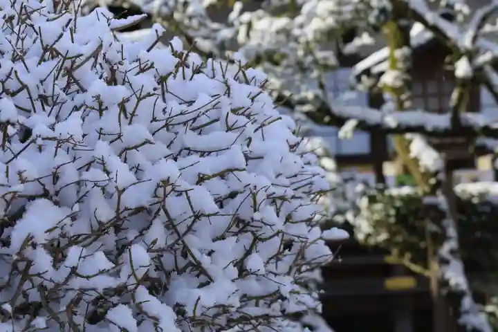 賀茂別雷神社(上賀茂神社)(京都府)