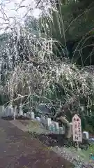 大縣神社の庭園