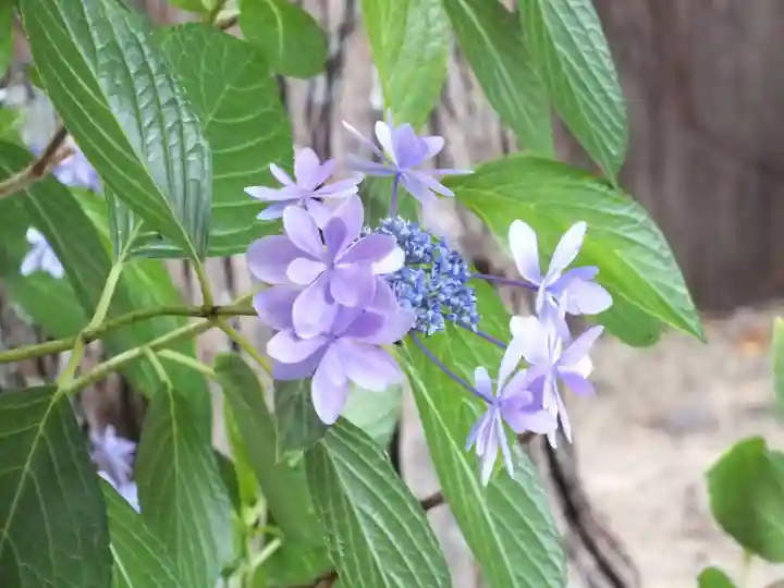 立志神社(滋賀県)