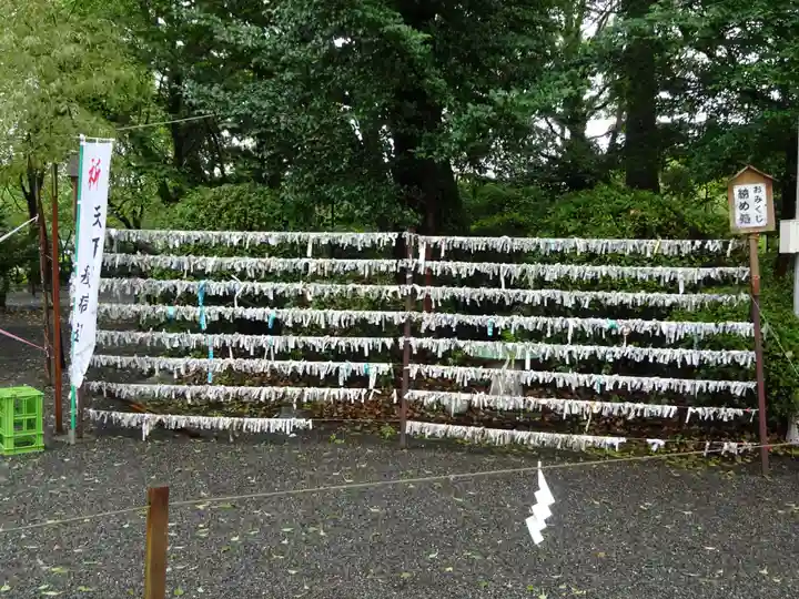 米之宮浅間神社のおみくじ