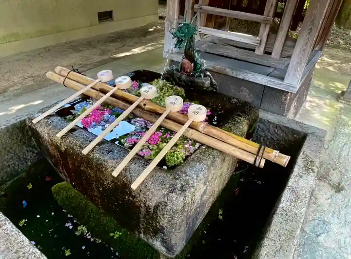 藤森神社の手水舎