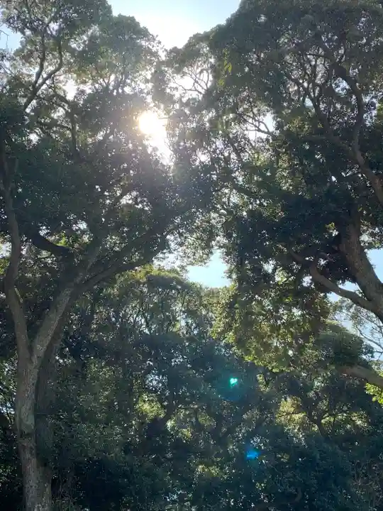 大甕神社の自然