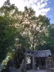 河内阿蘇神社(熊本県)