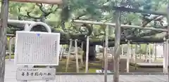 善養寺の自然