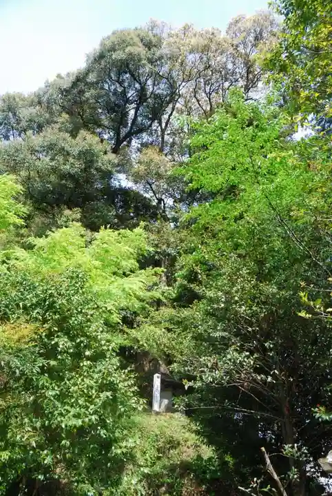 八幡宮(山口県)