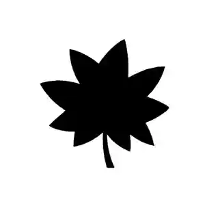 零羊崎神社(宮城県)(2022年10月21日(金) 15時54分53秒投稿)