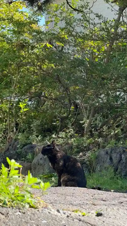 秋葉神社(北海道)