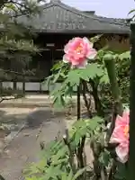 慈眼寺の本殿・本堂