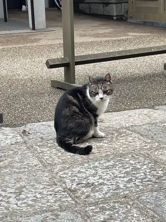 円覚寺(神奈川県)