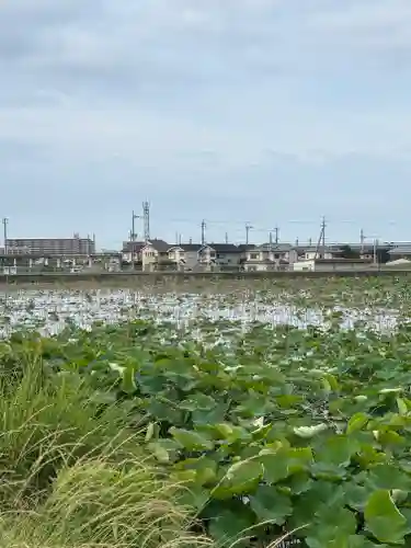 住吉神社(兵庫県)