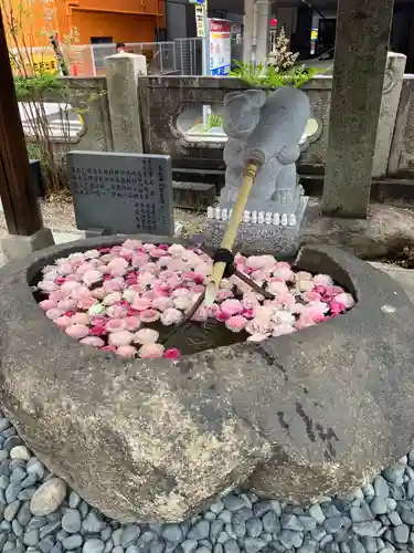 三輪神社の手水舎